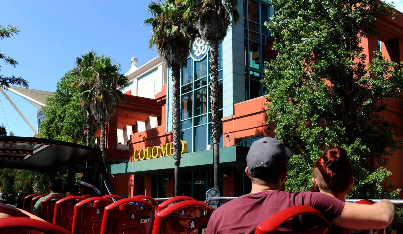 Scenic Wonders of Ceylon 15